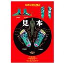 足裏反射区ポスター 光沢加工