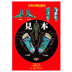 足裏反射区ポスター 光沢加工